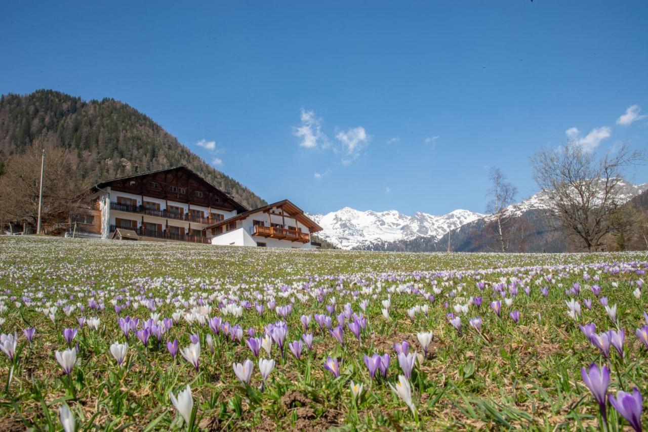 Hotel Ultnerhof Santa Gertrude エクステリア 写真